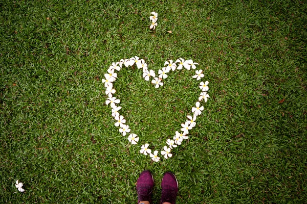 Corazón sobre la hierba de flores frangepani en Tailandia — Foto de Stock