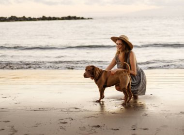 bir köpek ile gün batımında sahilde yürüyüş kız