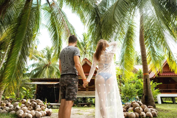 Casal apaixonado em palmas tropicais junto ao mar ao pôr do sol, vista traseira — Fotografia de Stock