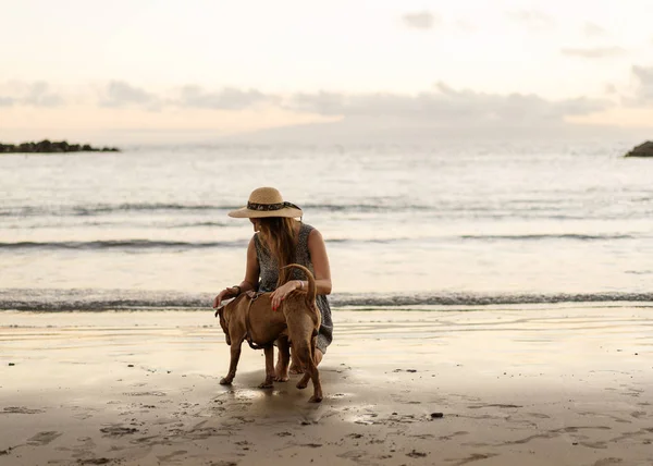 Fille marche sur la plage au coucher du soleil avec un chien — Photo