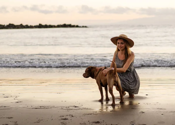 Fille marche sur la plage au coucher du soleil avec un chien — Photo