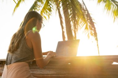 freelancer girl with a computer among tropical palm trees work on the island in sunset clipart