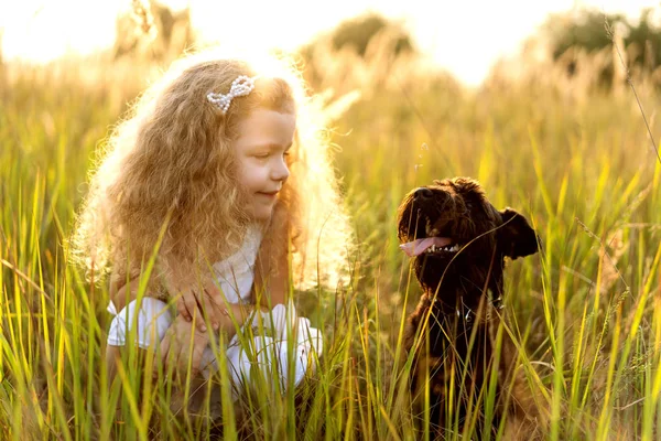 Bir köpek ile küçük kız gün batımında parkta oynar — Stok fotoğraf