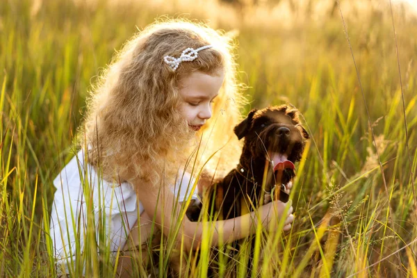 Liten flicka med en hund leker i parken vid solnedgången — Stockfoto