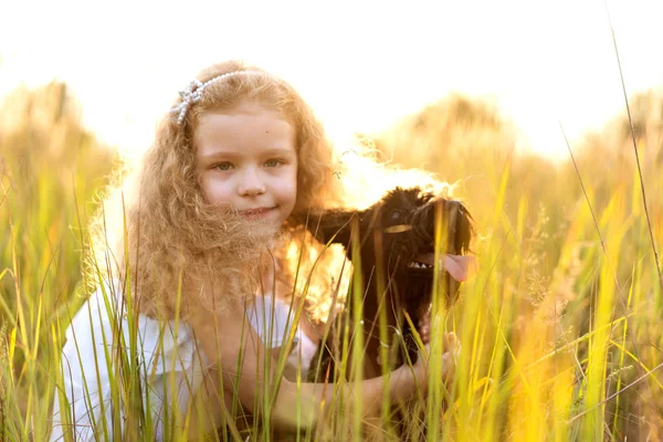 Klein meisje met een hond speelt in het park bij zonsondergang — Stockfoto