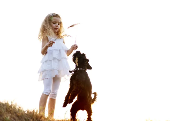 Petite fille avec un chien joue dans le parc au coucher du soleil — Photo