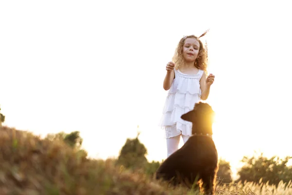 Bir köpek ile küçük kız gün batımında parkta oynar — Stok fotoğraf