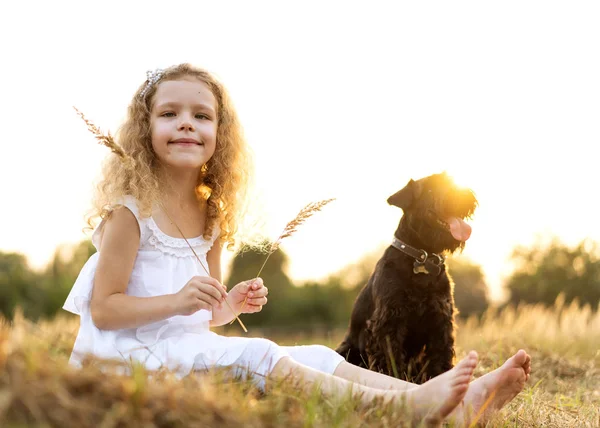 Маленька дівчинка з собакою грає в парку на заході сонця — стокове фото