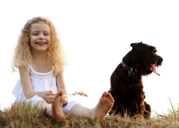 Mała dziewczynka z psem gra w parku o zachodzie słońca — Zdjęcie stockowe