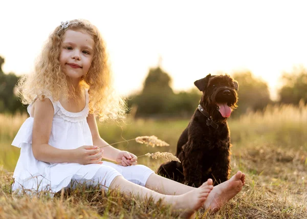 Маленька дівчинка з собакою грає в парку на заході сонця — стокове фото