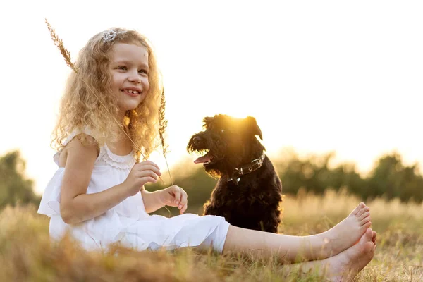 Liten flicka med en hund leker i parken vid solnedgången — Stockfoto