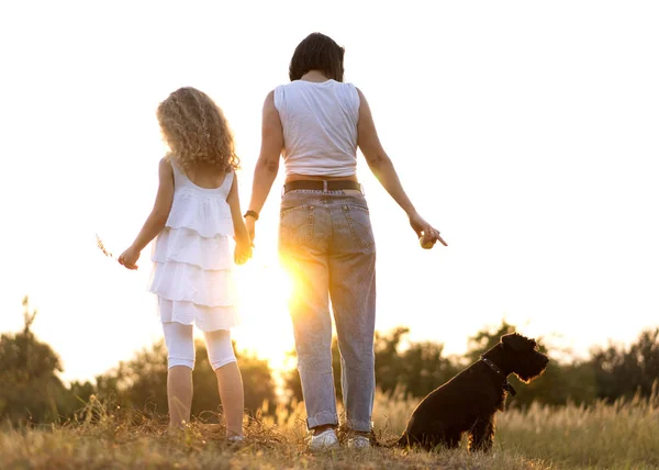 Mãe com filha com cão Schnauzer Miniatura brinca ao pôr do sol — Fotografia de Stock