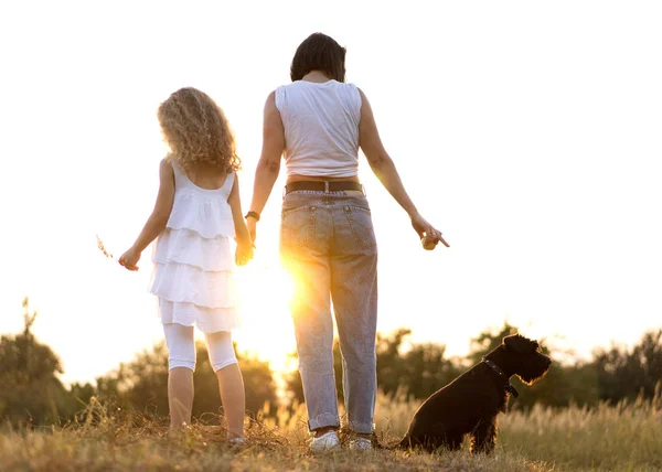 Madre con hija con perro Miniatura Schnauzer juega al atardecer — Foto de Stock