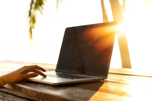 Frilansande flicka med en dator bland tropiska palmer arbetar på ön i solnedgången — Stockfoto