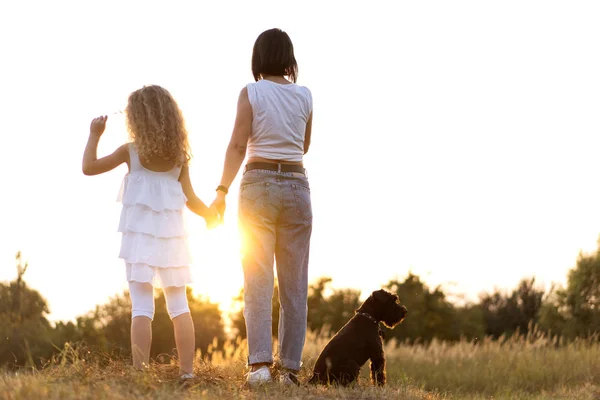 Mère avec fille avec chien Miniature Schnauzer joue au coucher du soleil Images De Stock Libres De Droits