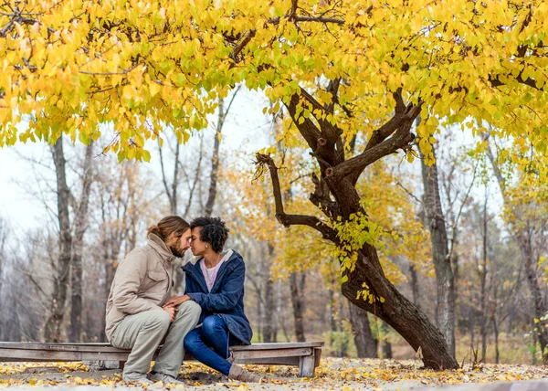 Kerl mit einem verliebten afrikanisch-amerikanischen Mädchen beim herbstlichen Parkspaziergang bei Sonnenuntergang — Stockfoto