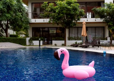 Tropik bir adadaki havuzda pembe flamingo.