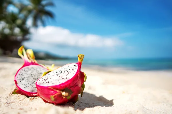 Tropical fruit dragonfruit lies on a river near the sea on a background of palm trees — Stock Photo, Image