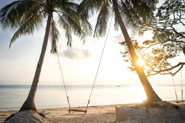 Swing among tropical palm trees in Thailand at sunset — Stock Photo, Image