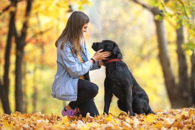 Sonbahar güneşli parkında köpeği Labrador 'la bir kız.