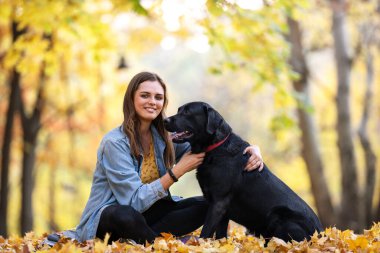 Sonbahar güneşli parkında köpeği Labrador 'la bir kız.