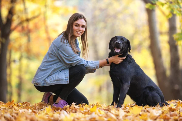 秋天阳光明媚的公园里 女孩和她的狗拉布拉多在一起 — 图库照片
