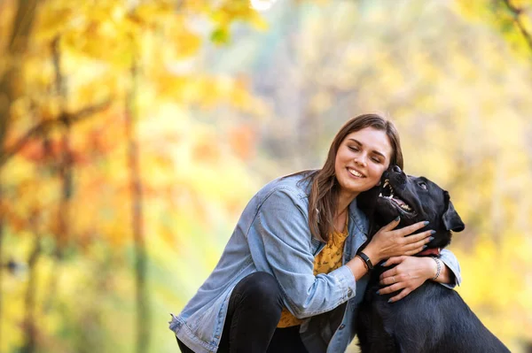 Lány Kutyájával Labrador Ősszel Napos Park — Stock Fotó