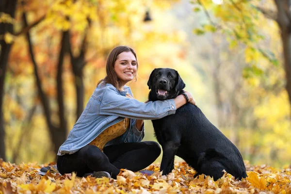 彼女の犬のラブラドールと一緒に秋の晴れた公園で — ストック写真