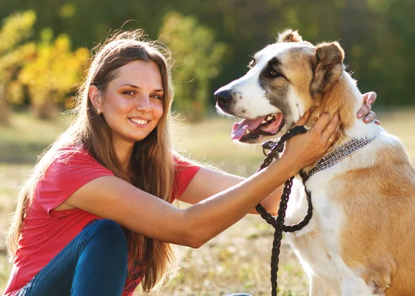 秋天阳光明媚的公园 女孩和她的中亚牧羊犬在一起 — 图库照片