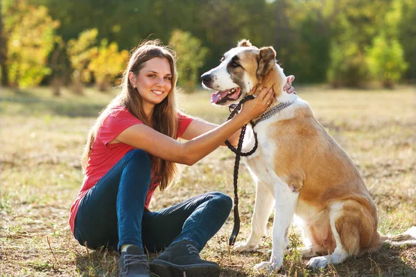 Flicka Med Sin Centralasiatiska Herde Hund Höst Solig Park — Stockfoto