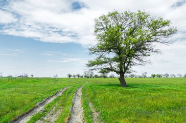 Yeşil çimenli, yollu ve bulutlu yaz manzarası.