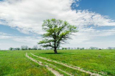 Yeşil çimenli, yollu ve bulutlu yaz manzarası.