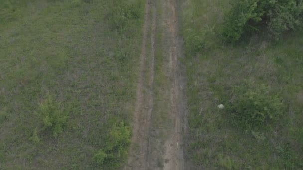 Voo sobre a estrada rural com a câmera subindo para o horizonte. O vídeo é filmado em Mavik Air 100mvps 4k — Vídeo de Stock