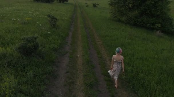Jovencita Alegre Caminando Descalza Camino Rural Vista Aérea Tomado Mavik — Vídeos de Stock