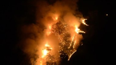 Çim ve ağaçların buzlu dağ gorge yavaş yanan gece yangın dağlarda,