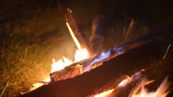 Großes Feuer eines Feuers auf einem Hintergrund wilder Natur mit Steinen. Nahaufnahme Reise, Abenteuer heiße Flamme. ein gemütlicher Abend im Wald an der frischen Luft. Verbrennung von Brennholz — Stockvideo