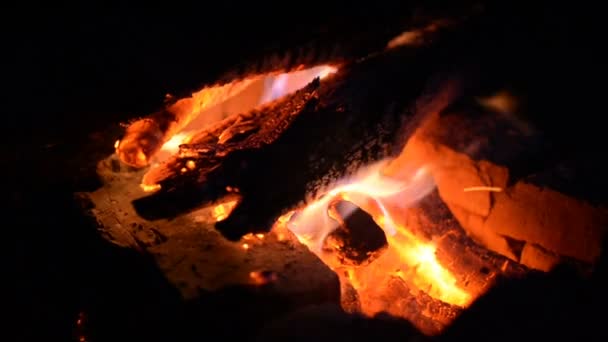 Großes Feuer eines Feuers auf einem Hintergrund wilder Natur mit Steinen. Nahaufnahme Reise, Abenteuer heiße Flamme. ein gemütlicher Abend im Wald an der frischen Luft. Verbrennung von Brennholz — Stockvideo