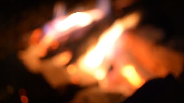 Gran fuego de un fuego sobre un fondo de naturaleza salvaje con piedras. Primer plano de viaje, aventura llama caliente. Una noche acogedora en el bosque al aire libre. Quemadura de leña — Vídeo de stock