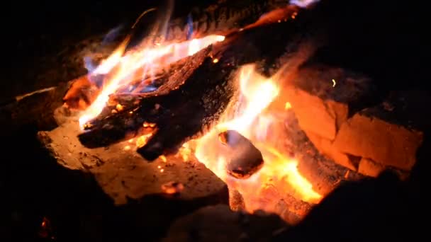 大火的火灾在野生自然的背景与石头 特写旅行 冒险热的火焰 在新鲜空气中的树林里度过一个惬意的夜晚 — 图库视频影像