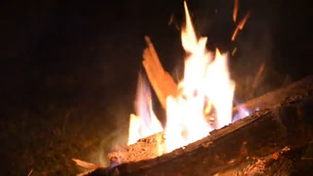 Μεγάλη πυρκαγιά του μια πυρκαγιά σε ένα υπόβαθρο της άγριας φύσης με πέτρες. Γκρο πλαν ταξίδια, καυτή φλόγα περιπέτεια. Μια ζεστή βραδιά στο δάσος στο φρέσκο αέρα. Καύση ξύλου καυσόξυλων — Αρχείο Βίντεο