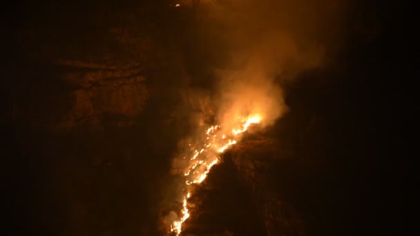 Fogo noturno nas montanhas, queimando grama e árvores nas rochas em um desfiladeiro de montanha em câmera lenta — Vídeo de Stock
