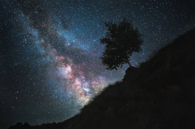 Yıldızlı gökyüzü bir Samanyolu ve bir dağ yamacında bir ağaç var. Gece manzarası