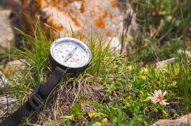 Manyetik pusula bir taş yanındaki çim üzerinde yalan