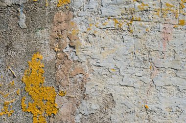 Grunge arka plan dokulu. Hacimsel duvar ile bir çok katmanlı kaplama kırık. Turuncu badanalı duvara fişleri. Doku derin bir desen ile