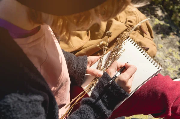 Kız ressam doğaya dağlarda içinde a defter bir kalem çizer. Ücretsiz yaratıcılık ve freelancing — Stok fotoğraf