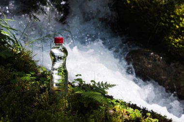Şeffaf plastik A şişe kırmızı kapaklı temiz su standları çim ve moss bir engebeli dağ nehir arka plan üzerinde. Saf doğal içme suyu kavramı