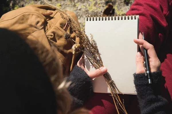 Kız ressam doğaya dağlarda içinde a defter bir kalem çizer. Ücretsiz yaratıcılık ve freelancing — Stok fotoğraf