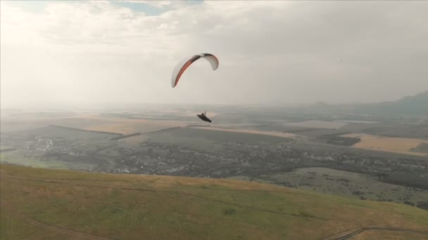 Athlete paraglider flies on his paraglider next to the swallows. Follow-up shooting from the drone — Stock Video