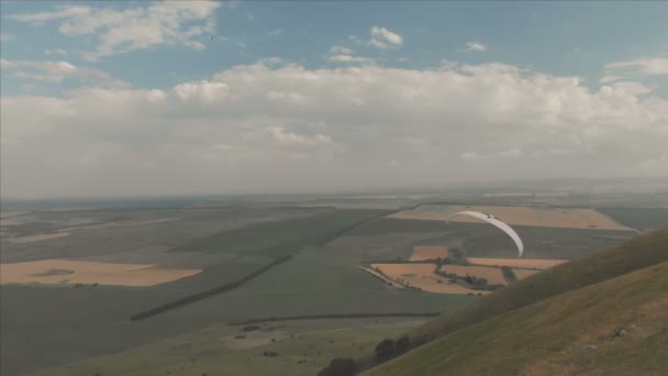 Atleet paraglider vliegt op zijn paraglider naast de zwaluwen. Follow-up van de drone schieten — Stockvideo