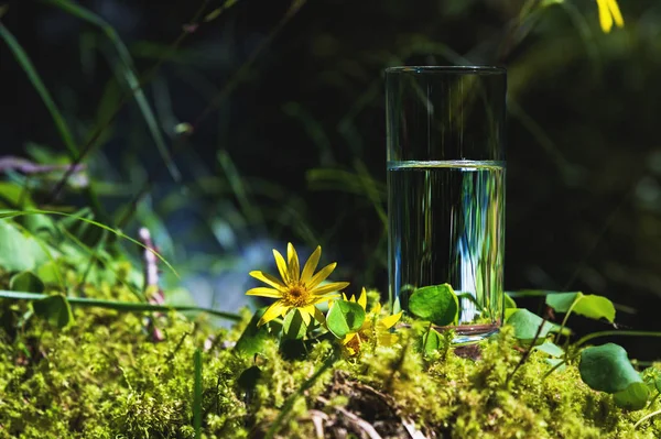 Clear water in a clear glass against a background of green moss with a mountain river in the background. Healthy food and environmentally friendly natural water